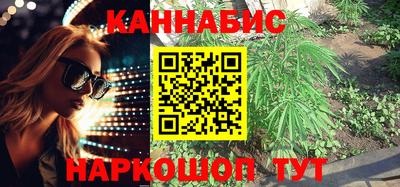 бошки Гатчина
