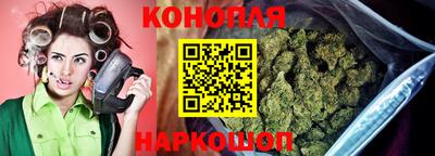 бошки Гатчина