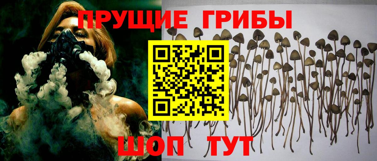 Омск  Галлюциногенные грибы Psilocybine cubensis  Галлюциногенные грибы GOLDEN TEACHER  Вход с VPN 